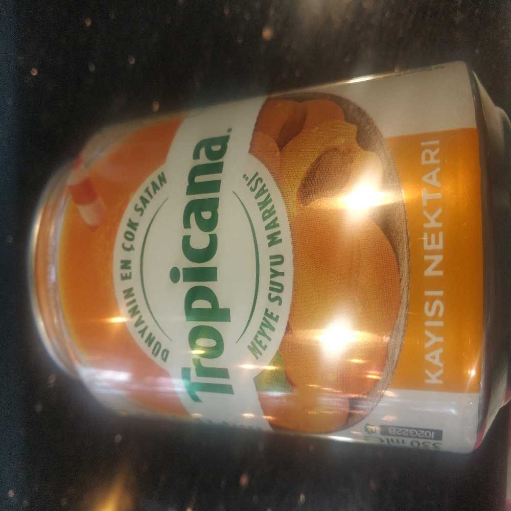 Kutu Meyve Suyu(Kayısı-Şeftali-Vişne)